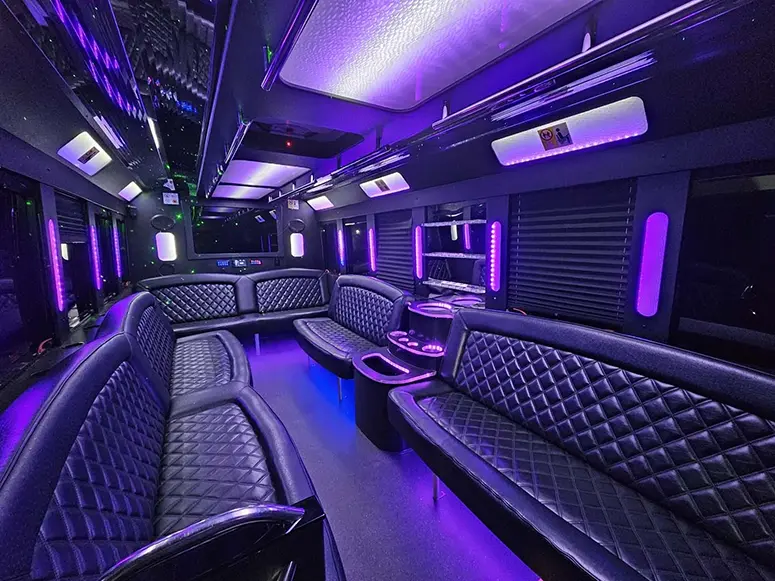 Bachelor Party Bus, fleet vehicle