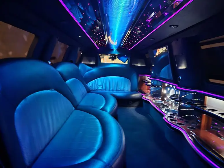 Niagara Falls limo bus, fleet vehicle