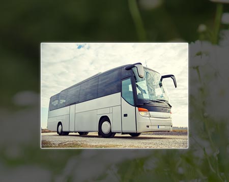 oakville party bus rentals